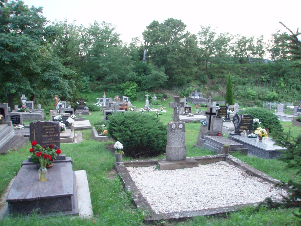 Slovensko: Oppidum Zemplín 2