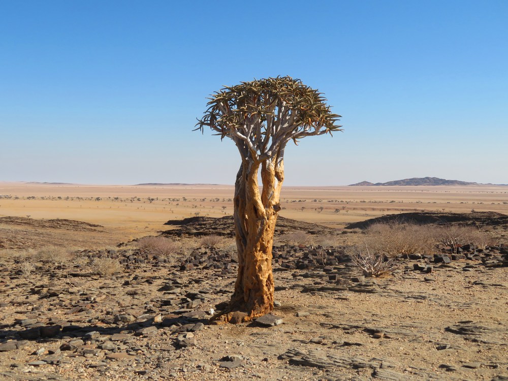 Namibie: poušť Namib