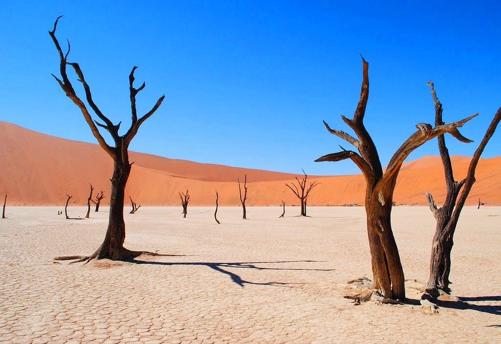 Namibie: poušť Namib 3