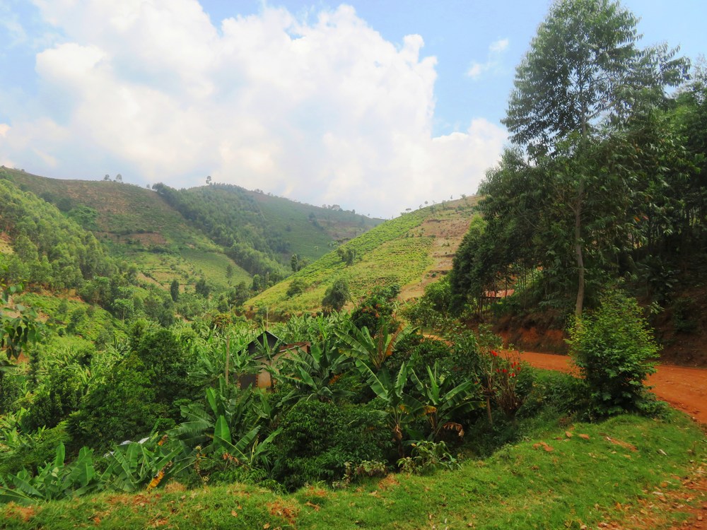 Uganda: cesta horami