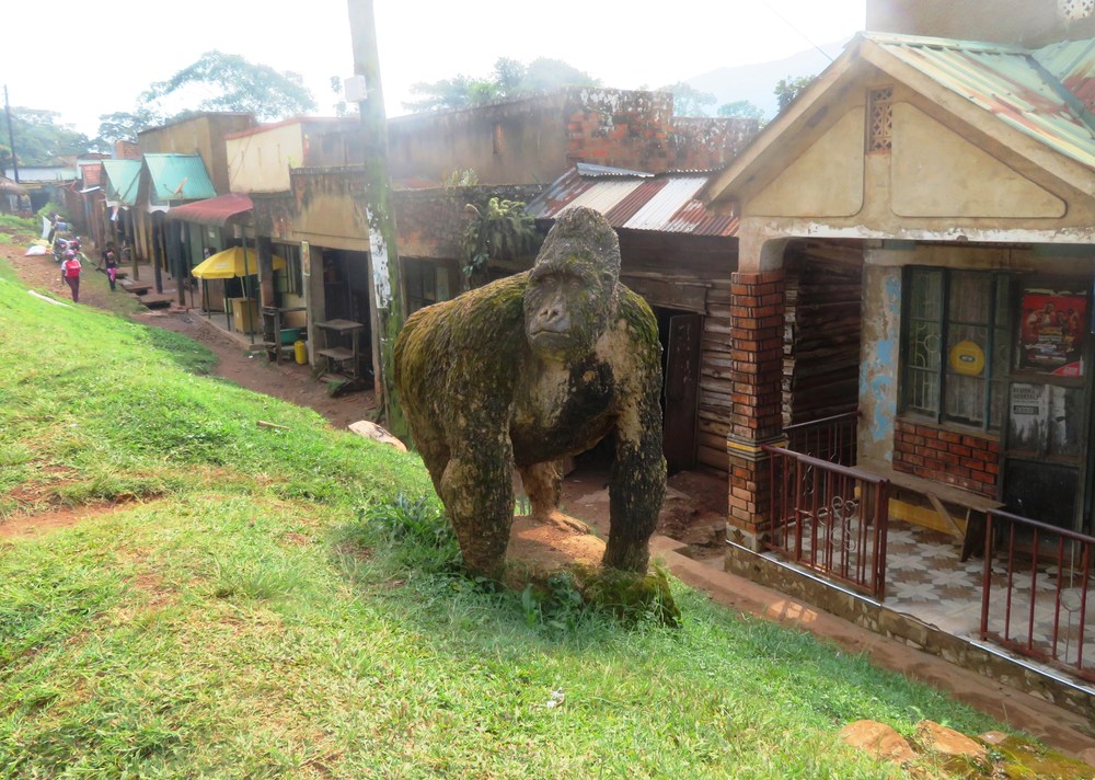 Uganda: NP Bwindi