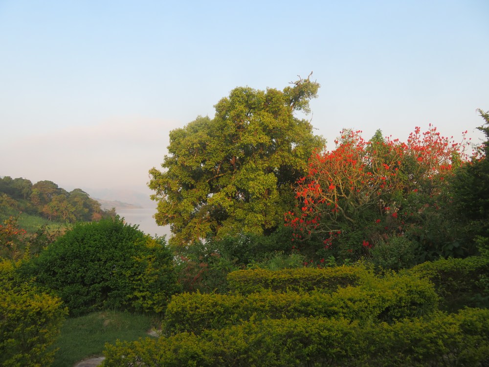 Uganda: park